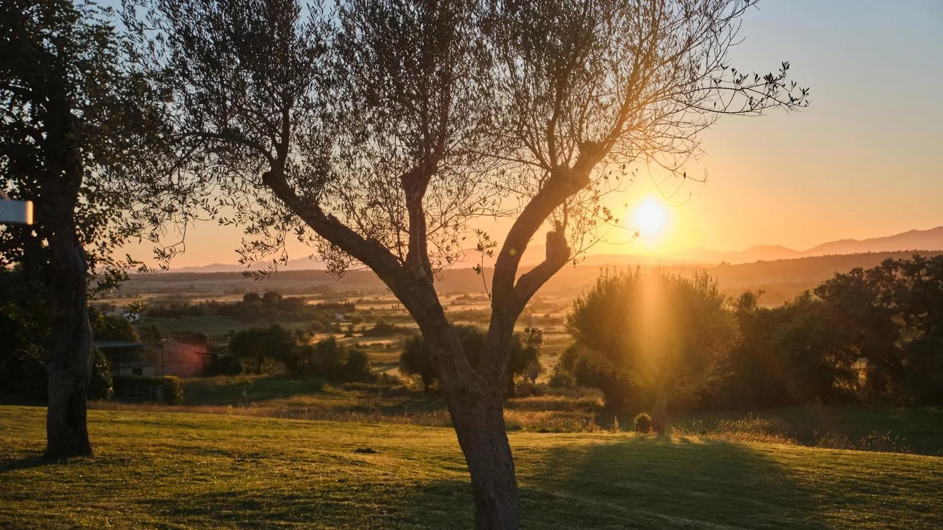 ****  Es Figueral Nou Hotel Rural & Spa - Adults Only - Over 12 Montuiri  Spagna